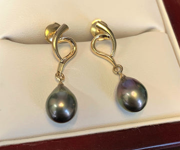 TJ7413 - 14 Karat Yellow Gold Custom Pearl Earrings